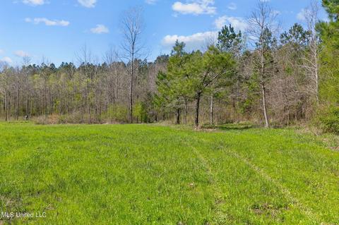 1275 Robinson Rd, Canton, MS 39046 photo 20