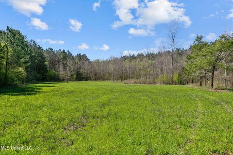 1275 Robinson Rd, Canton, MS 39046 photo 18