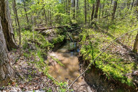 1275 Robinson Rd, Canton, MS 39046 photo 25