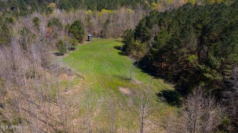 1275 Robinson Rd, Canton, MS 39046 photo 59