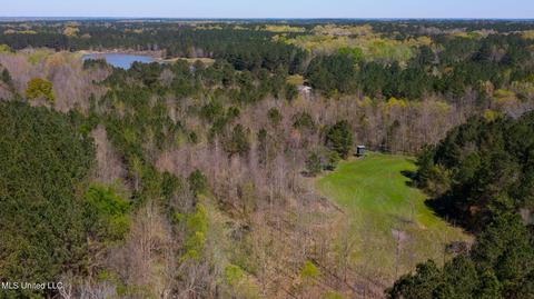 1275 Robinson Rd, Canton, MS 39046 photo 58