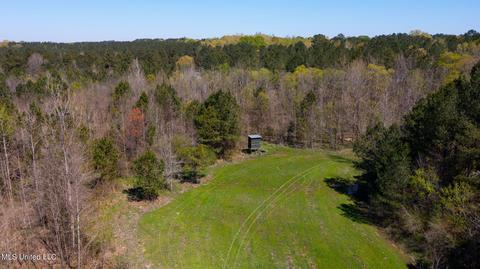 1275 Robinson Rd, Canton, MS 39046 photo 61