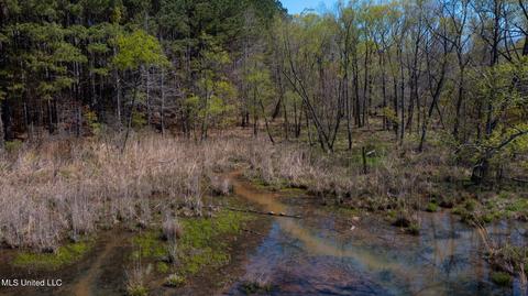 1275 Robinson Rd, Canton, MS 39046 photo 75