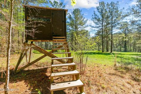 1275 Robinson Rd, Canton, MS 39046 photo 31