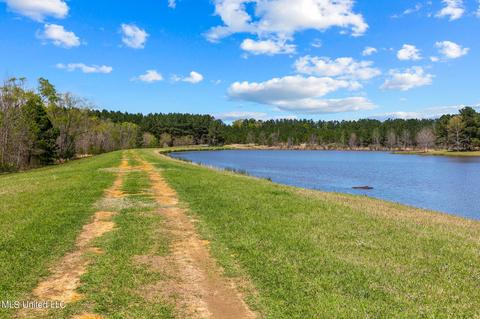 1275 Robinson Rd, Canton, MS 39046 photo 45