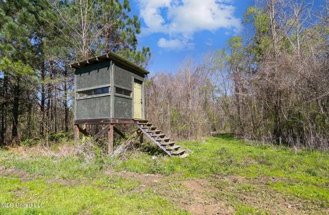 1275 Robinson Rd, Canton, MS 39046 photo 17