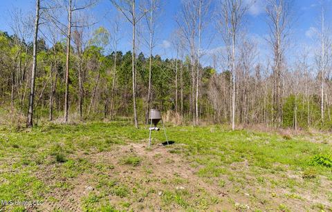 1275 Robinson Rd, Canton, MS 39046 photo 21