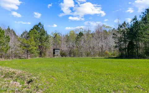 1275 Robinson Rd, Canton, MS 39046 photo 22