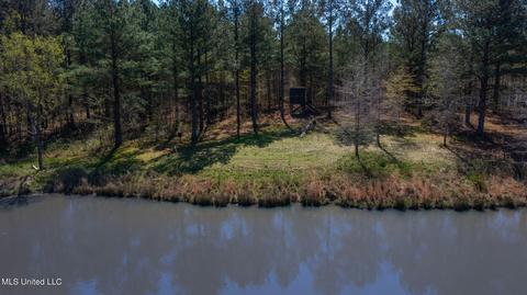1275 Robinson Rd, Canton, MS 39046 photo 73