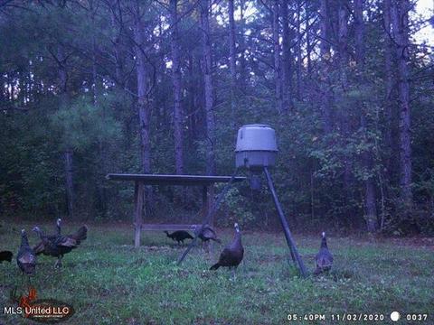 1275 Robinson Rd, Canton, MS 39046 photo 98
