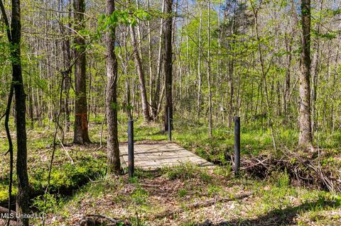 1275 Robinson Rd, Canton, MS 39046 photo 24