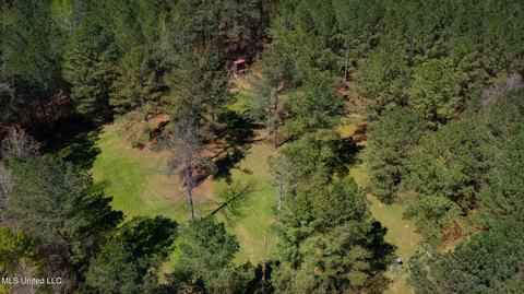 1275 Robinson Rd, Canton, MS 39046 photo 87
