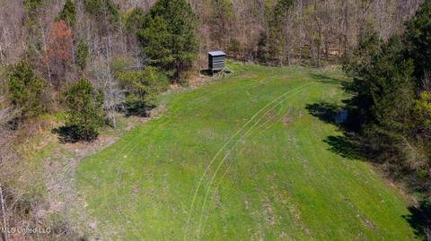 1275 Robinson Rd, Canton, MS 39046 photo 60