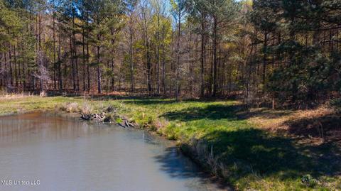 1275 Robinson Rd, Canton, MS 39046 photo 69