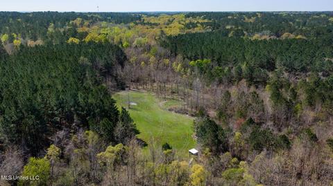 1275 Robinson Rd, Canton, MS 39046 photo 65