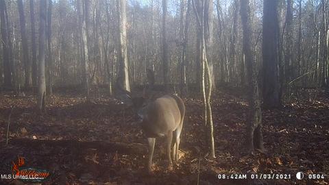 1275 Robinson Rd, Canton, MS 39046 photo 102