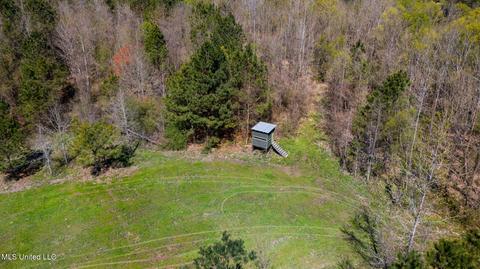 1275 Robinson Rd, Canton, MS 39046 photo 63
