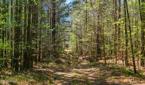 1275 Robinson Rd, Canton, MS 39046 photo 29