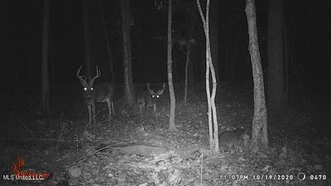 1275 Robinson Rd, Canton, MS 39046 photo 101