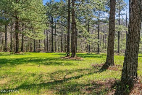 1275 Robinson Rd, Canton, MS 39046 photo 35