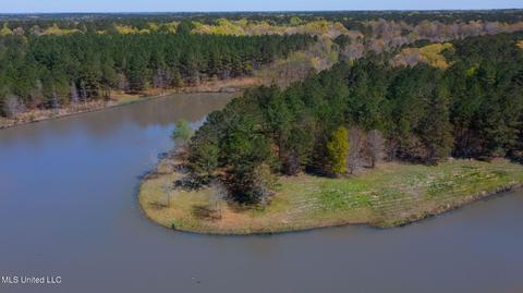 1275 Robinson Rd, Canton, MS 39046 photo 71