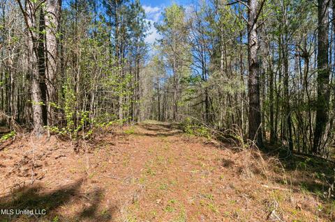 1275 Robinson Rd, Canton, MS 39046 photo 28