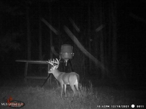 1275 Robinson Rd, Canton, MS 39046 photo 95