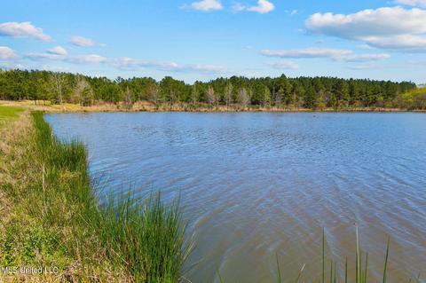 1275 Robinson Rd, Canton, MS 39046 photo 48