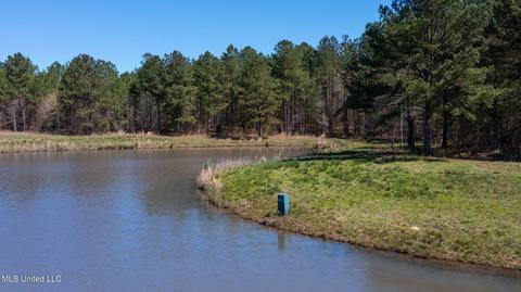 1275 Robinson Rd, Canton, MS 39046 photo 68