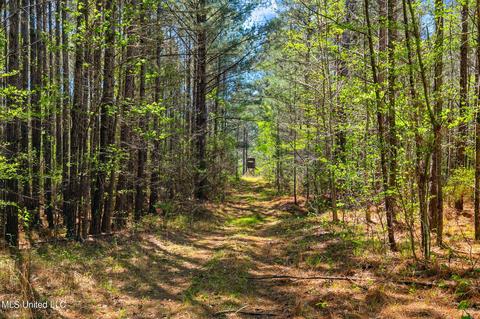 1275 Robinson Rd, Canton, MS 39046 photo 36