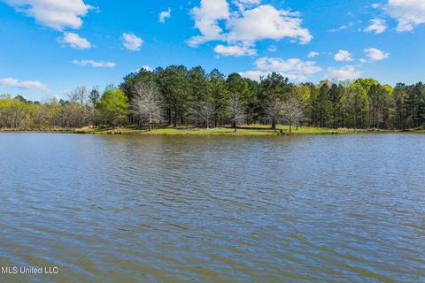 1275 Robinson Rd, Canton, MS 39046 photo 50