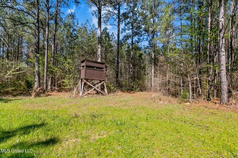 1275 Robinson Rd, Canton, MS 39046 photo 34