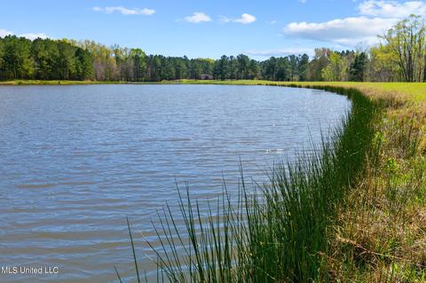 1275 Robinson Rd, Canton, MS 39046 photo 49