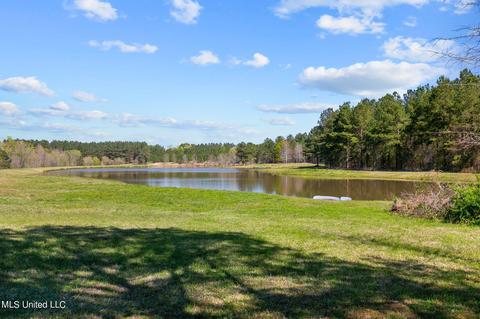 1275 Robinson Rd, Canton, MS 39046 photo 4