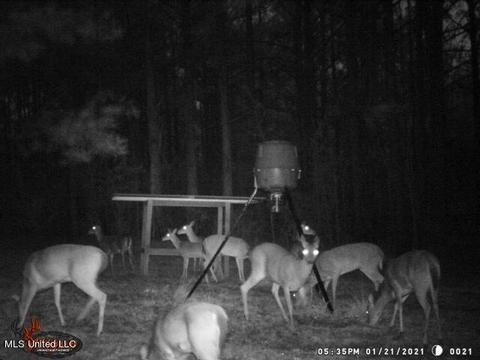 1275 Robinson Rd, Canton, MS 39046 photo 96