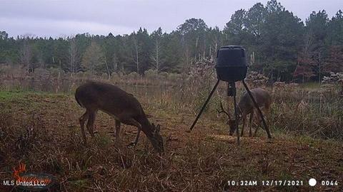1275 Robinson Rd, Canton, MS 39046 photo 99