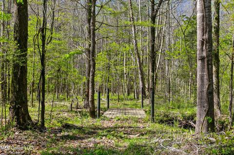1275 Robinson Rd, Canton, MS 39046 photo 39