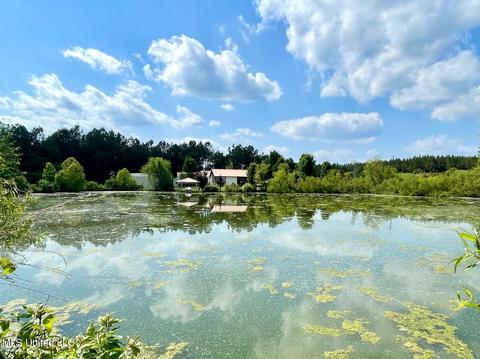 1311 Johnson Rd, Preston, MS 39354 photo 9