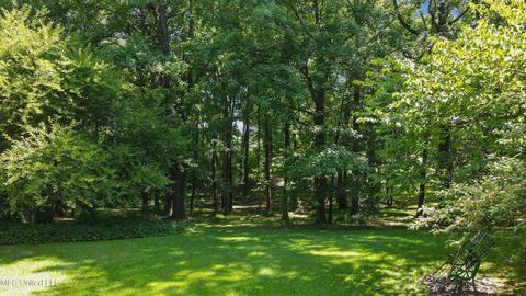 1195 N Fogg Rd, Nesbit, MS 38651 photo 6