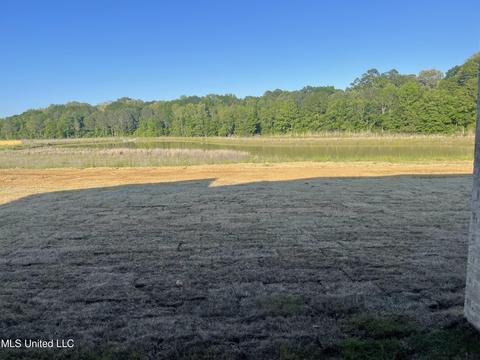 302 Willow Way, Canton, MS 39046 photo 5