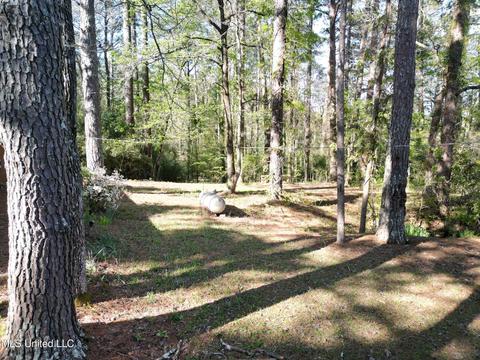 154 Pine Ridge Rd, Florence, MS 39073 photo 3