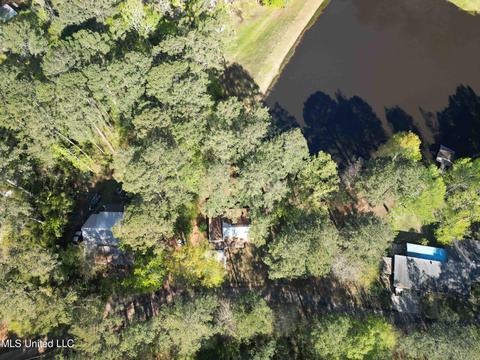 154 Pine Ridge Rd, Florence, MS 39073 photo 9