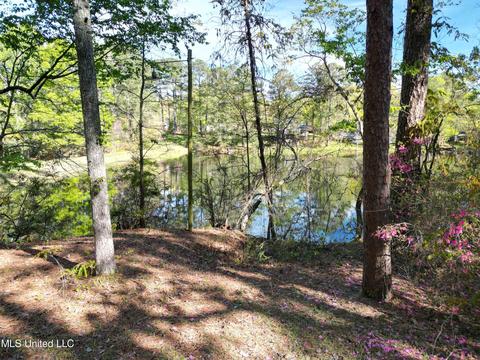 154 Pine Ridge Rd, Florence, MS 39073 photo 6