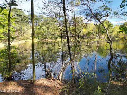 154 Pine Ridge Rd, Florence, MS 39073 photo 7