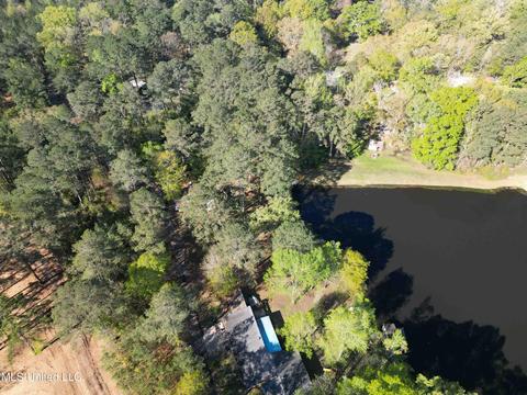 154 Pine Ridge Rd, Florence, MS 39073 photo 11