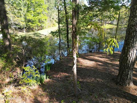 154 Pine Ridge Rd, Florence, MS 39073 photo 8