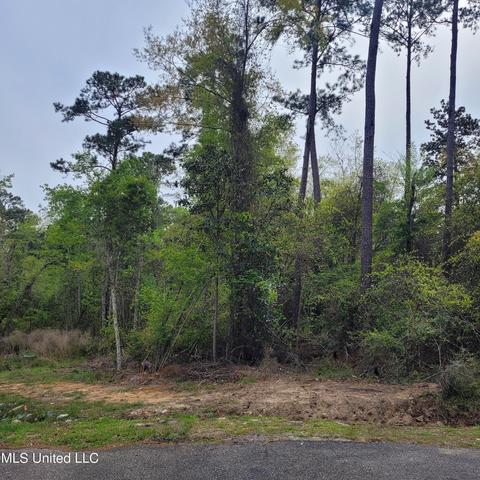 Kolo Court, Diamondhead, MS 39525