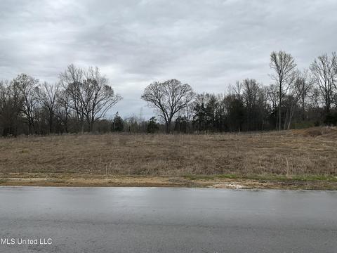 4540 Rowsey Crossing Dr, Hernando, MS 38632