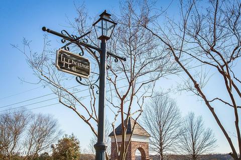 142 Chestnut Hill Rd, Flora, MS 39071 photo 3