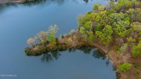 142 Chestnut Hill Rd, Flora, MS 39071 photo 18